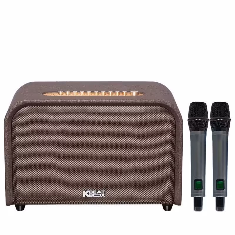 Loa Acnos Acoustic 3