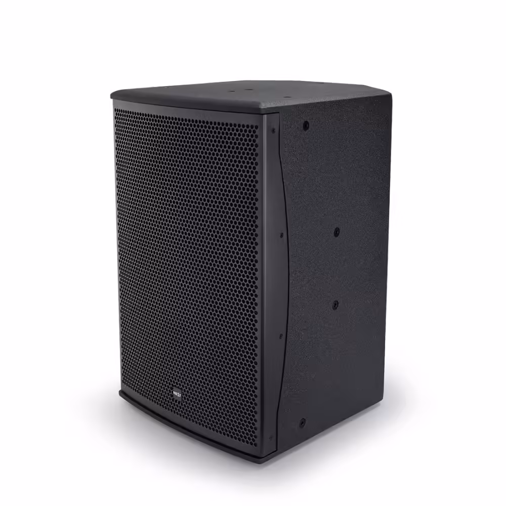 Loa NEXT Audiocom Pro12A