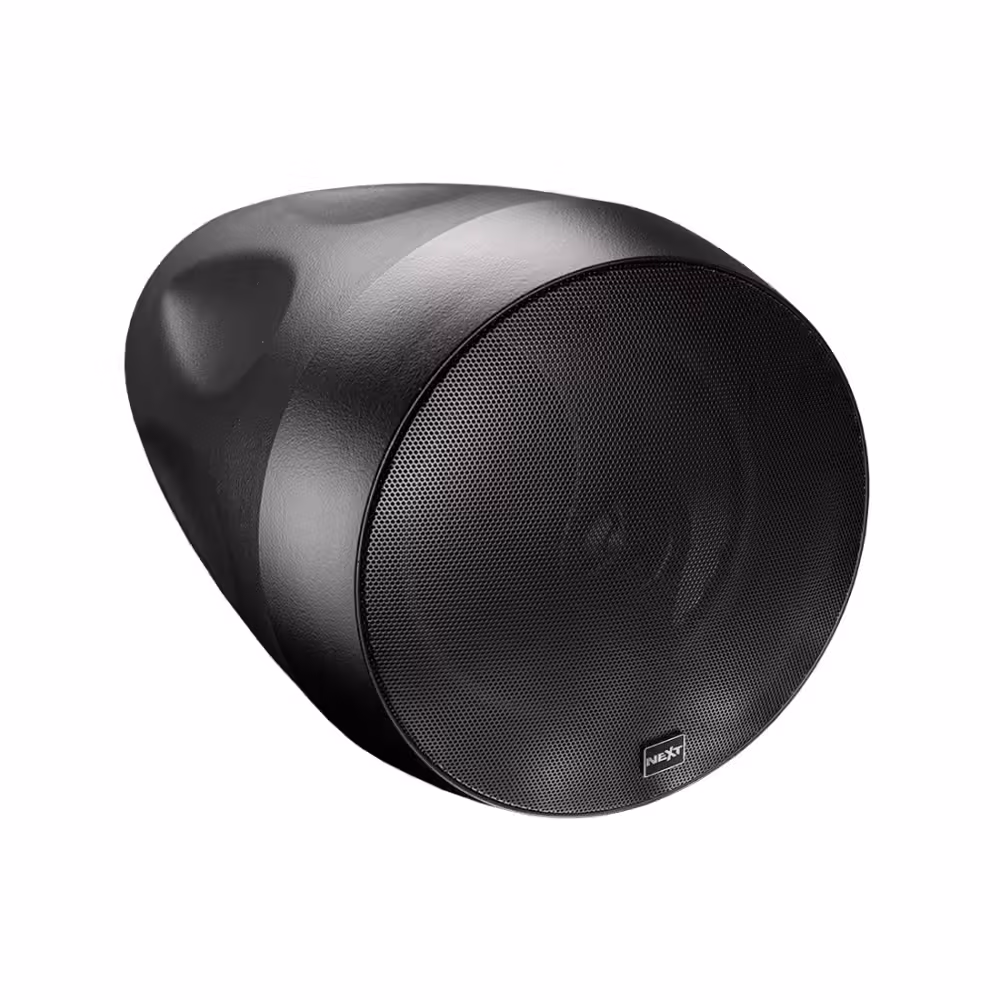 Loa gắn tường NEXT Audiocom P6 Wall